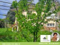 ORS IMMOBILIER VIENNE BON ACCUEIL.JPG