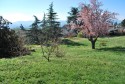 ors ghislaine  terrain saint maurice dargoire.JPG