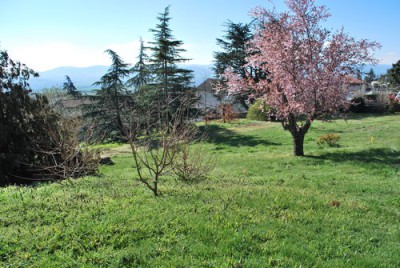 ors ghislaine  terrain saint maurice dargoire.JPG