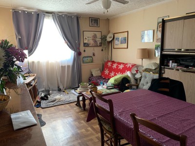 DANIELLE ORS IMMOBILIER ST PRIEST 69800.jpg