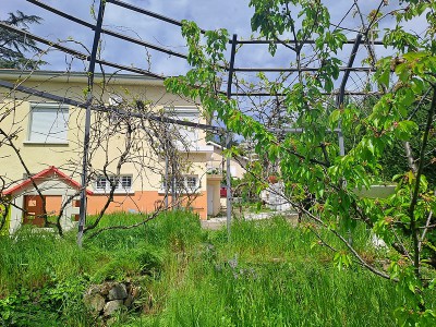 VIENNEIMMO VENTE MAISON.jpg