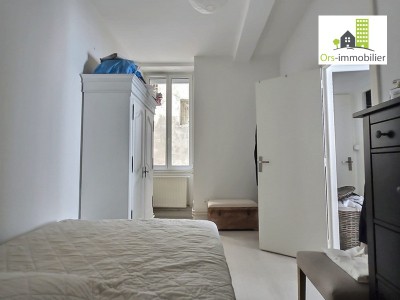 Appartement à vendre  VIENNE 38200 HYPER CENTRE .jpg