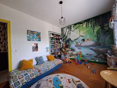 L'IMMOBILIER AU PAYS ROUSSILLONNAIS 38150.jpg