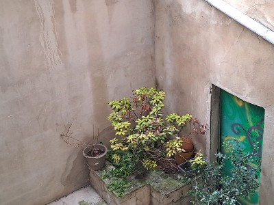 ORS IMMOBILIER A VIENNE.jpg