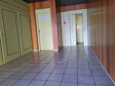 ANNONCE APPARTEMENT PEAGE DE ROUSSILLON.jpg