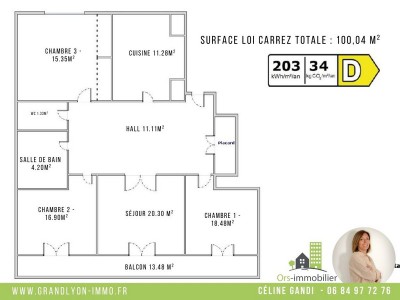 Appartement Lyon 8 Grange Rouge.jpg