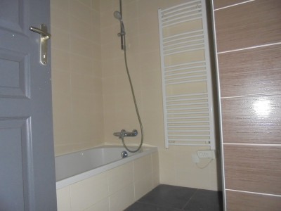 ANNONCE LOCATION VILLETTE DE VIENNE.jpg