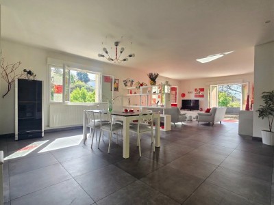 VENTE ACHAT IMMOBILIER SEYSSUEL.jpg