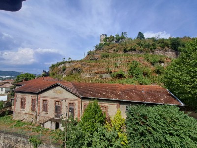 L'IMMOBILIER A VIENNE MONTEE SAINT MARCEL.jpg