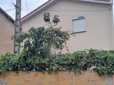 immobilier-locatif-cour-et-buis-proche-de-vienne.jpg