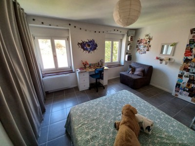 annonce-immobiliere-vienne-centre-chambre-spacieuse.jpg