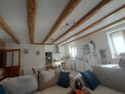 immobilier-st-pierre-de-boeuf-cuisine-ouverte.jpg