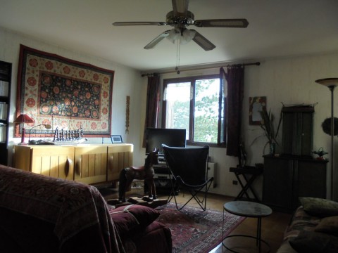 ANNONCES IMMOBILIERES VIENNE.jpg