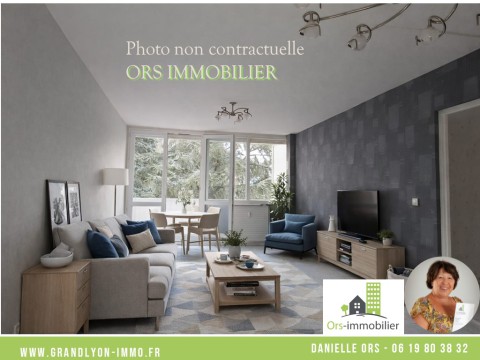 VIENNE IMMOBILIER.JPG